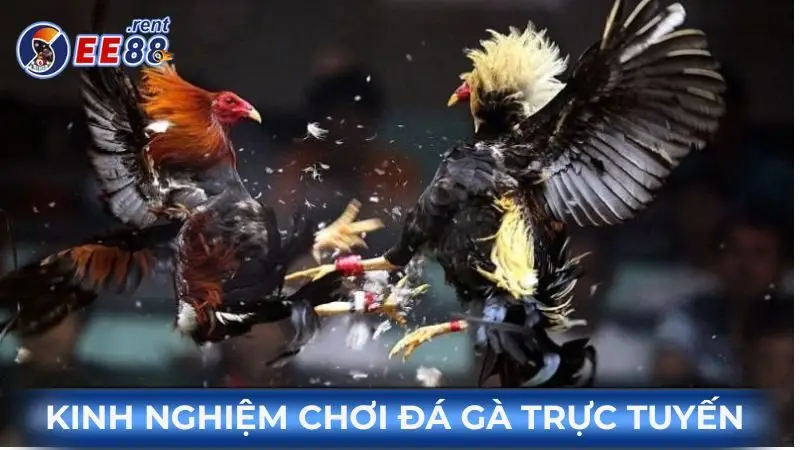 Kinh-nghiem-da-ga-online