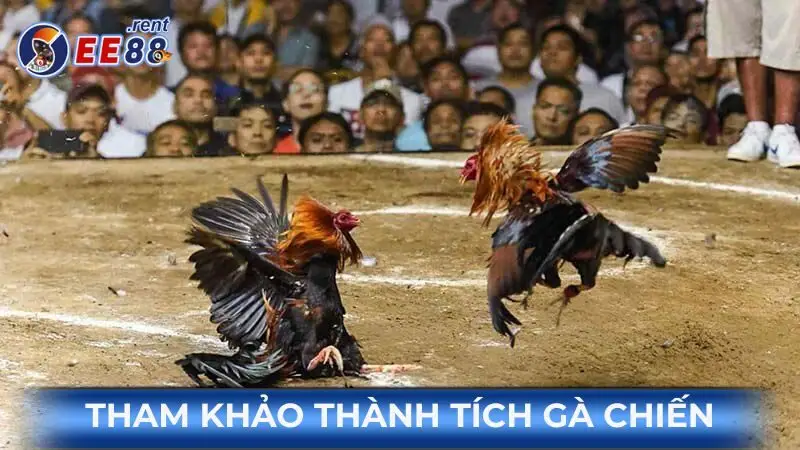 Tham-khao-thanh-tich-ga-chien